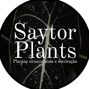 Saytor Plants 