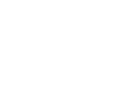 Hoffen bier