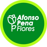 Afonso Pena Flores