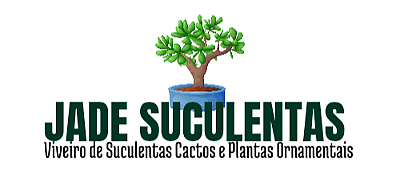 Jade Suculentas e Cactos