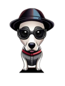 Santa Roupinha Pet