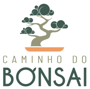 Caminho do Bonsai