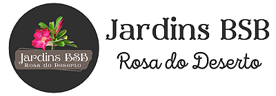 JBSB Rosa do Deserto 