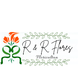 Floricultura R & R flores