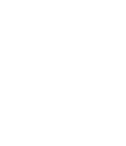 KingShield