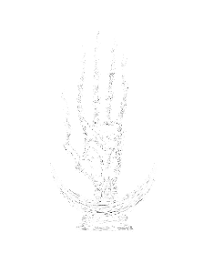 Manus Gloriae