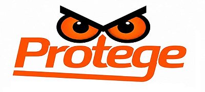 Protege Security