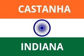 Castanha Indiana