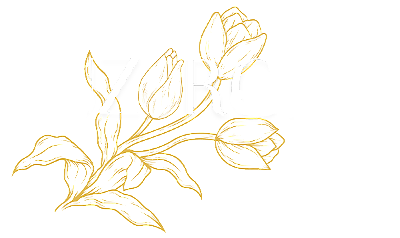 Logo Luzaroma