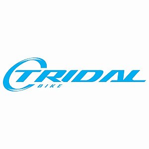 TRIDAL BIKE