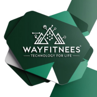 WAYFITNESS TECNOLOGIA PARA VIDA