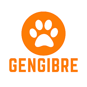 Gengibre 