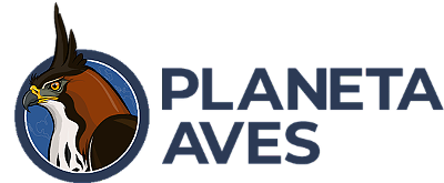 Planeta Aves