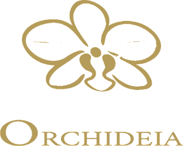 Orchideia Sabonete Arte
