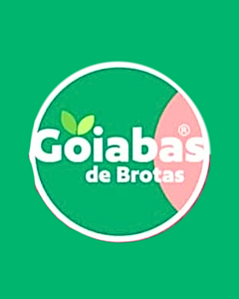 Goiaba de Brotas