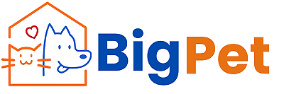 BigPetStm