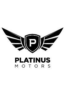 PLATINUS Motors Autopeças, Motopeças, Diesel, Retífica, Oficina Mecanica, Estética, Performance Racing