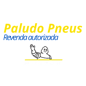 Paludo Pneus