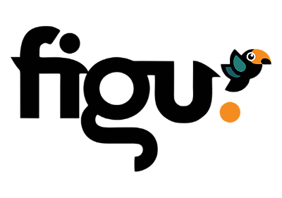 Agência Figu