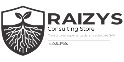 Raizys Consulting Store