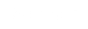 Ariadne Teixeira Brand