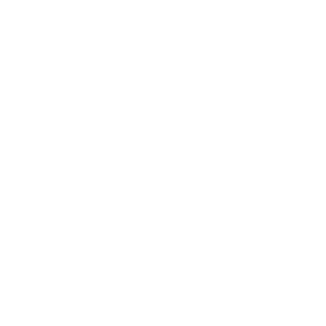 Lifestyle Gamer