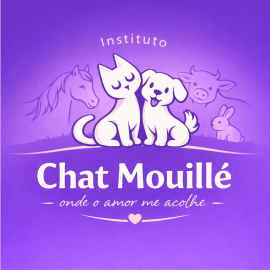 Instituto ChatMouille