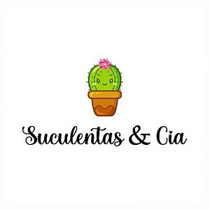 Suculentas e Cia