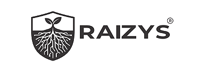 Raizys