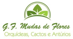 GF - Mudas de Flores