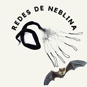 Redes de Neblina