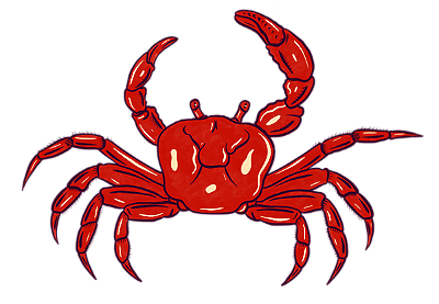 Loja Carangas Cultural©