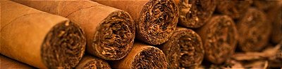 Cigars Company.com
