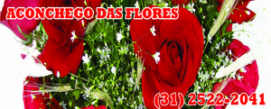 ACONCHEGO DAS FLORES