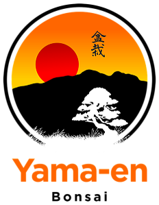 Yama-en Bonsai