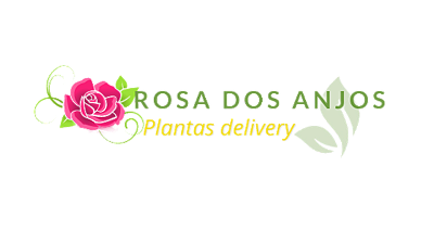 Rosa dos Anjos
