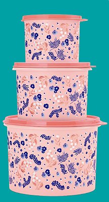 Tupperware Caixas Jardim das Mães Coral kit 3 peças