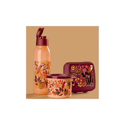 Kit Tupperware Redondinha + Porta Sanduíche + Garrafa Eco Tupper Plus 750ml Winny 3 peças nv