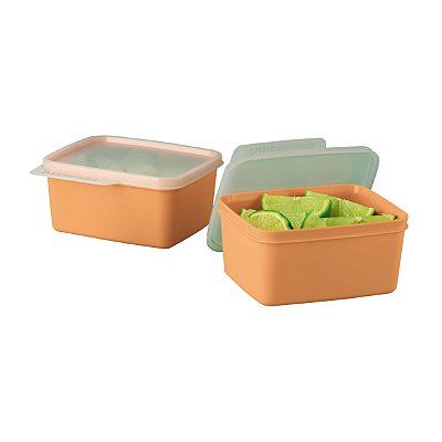 Kit Tupperware Basic Line 500ml Laranja 2 peças