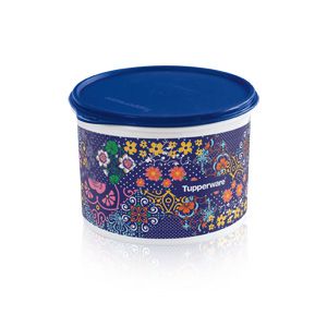 Tupperware Caixa Bem me Quer 2,4 litros