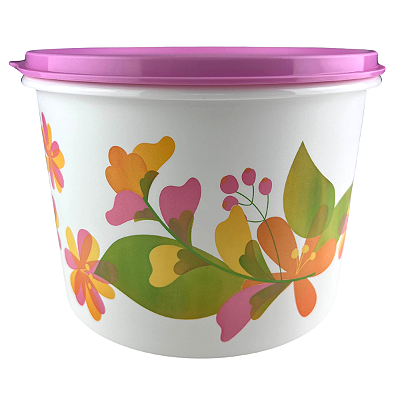 Tupperware Caixa 1,1 litro Florida