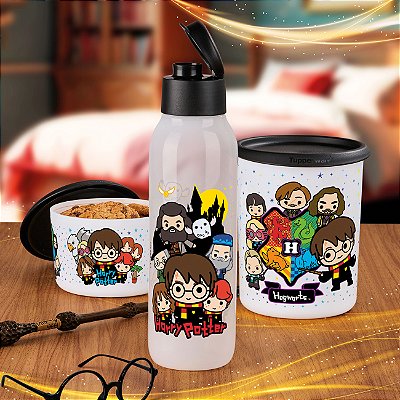 Kit Tupperware Pote e Garrafa Harry Potter Hogwarts 3 peças