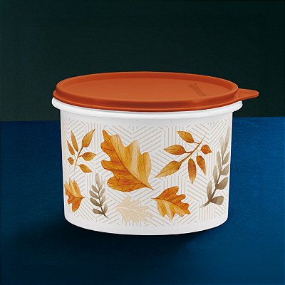 Tupperware Tupper Caixa Folhas Secas 1,1 litro