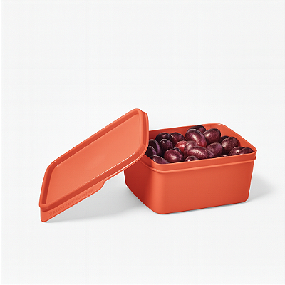 Tupperware Basic Line 500ml Laranja Coral