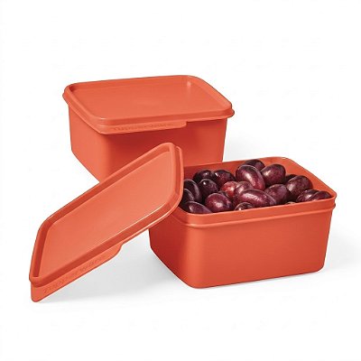 Kit Tupperware Basic Line 500ml 2 Peças Laranja Coral