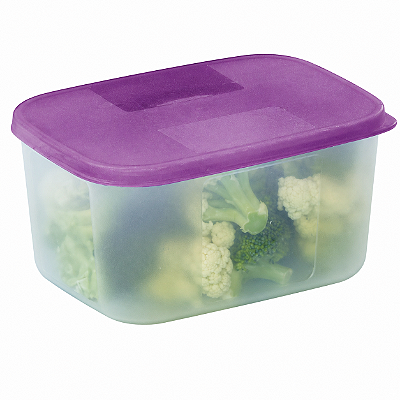 Tupperware Freezer Mate Amora 650ml
