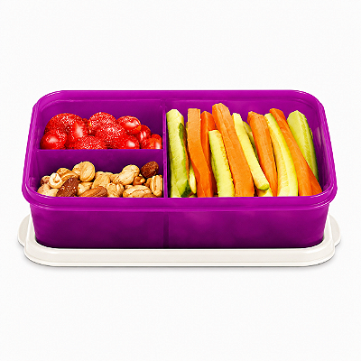 Tupperware Basic Line com Divisórias 1 litro Vinho