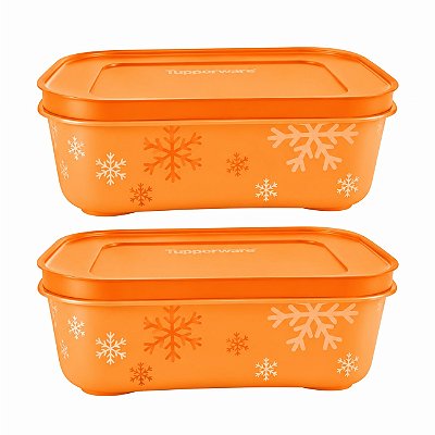 Kit Tupperware Freezer Line 450ml Laranja 2 peças