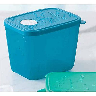 Tupperware Freezertime 1 litro Azul Escuro