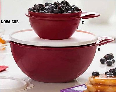 Tupperware Extra Mini Criativa Marsala + Criativa Marsala kit 2 peças